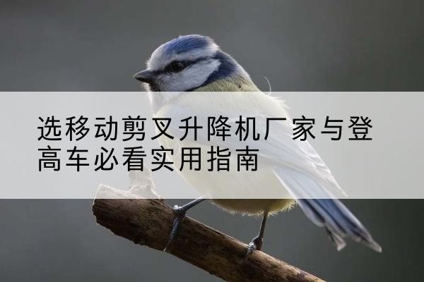 宽城电动升降机厂家-选移动剪叉升降机厂家与登高车必看实用指南