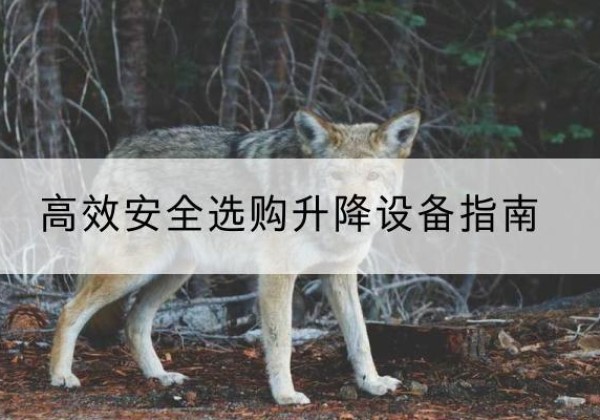 宽城升降货梯厂家推荐-*安全选购升降设备指南